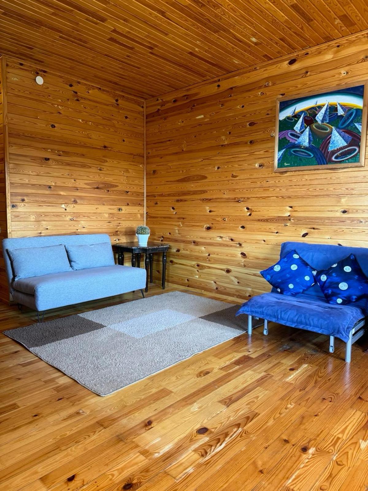 Mayak Resort Kam'yani Potoky 部屋 写真